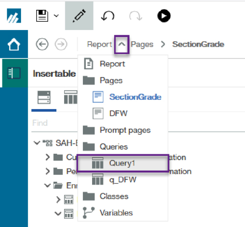 Screenshot: Query under carrot menu between Reports and Pages
