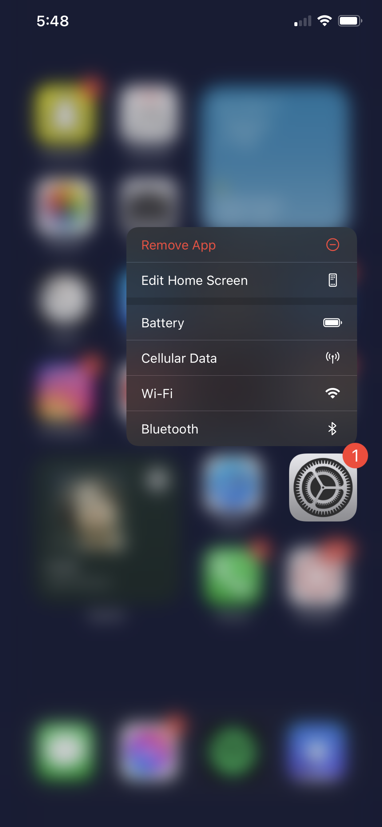 Screenshot: Settings Icon from IPhone