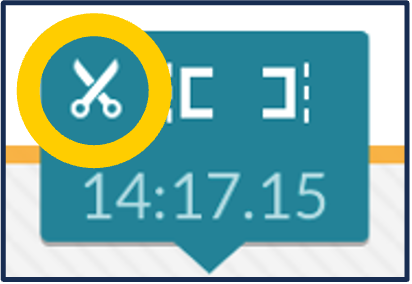 A screenshot of the scrubber with the scissors icon circled.
